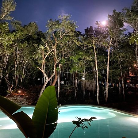 Casa Arkaana Eco Retreat Hotel ตูลุม ภายนอก รูปภาพ