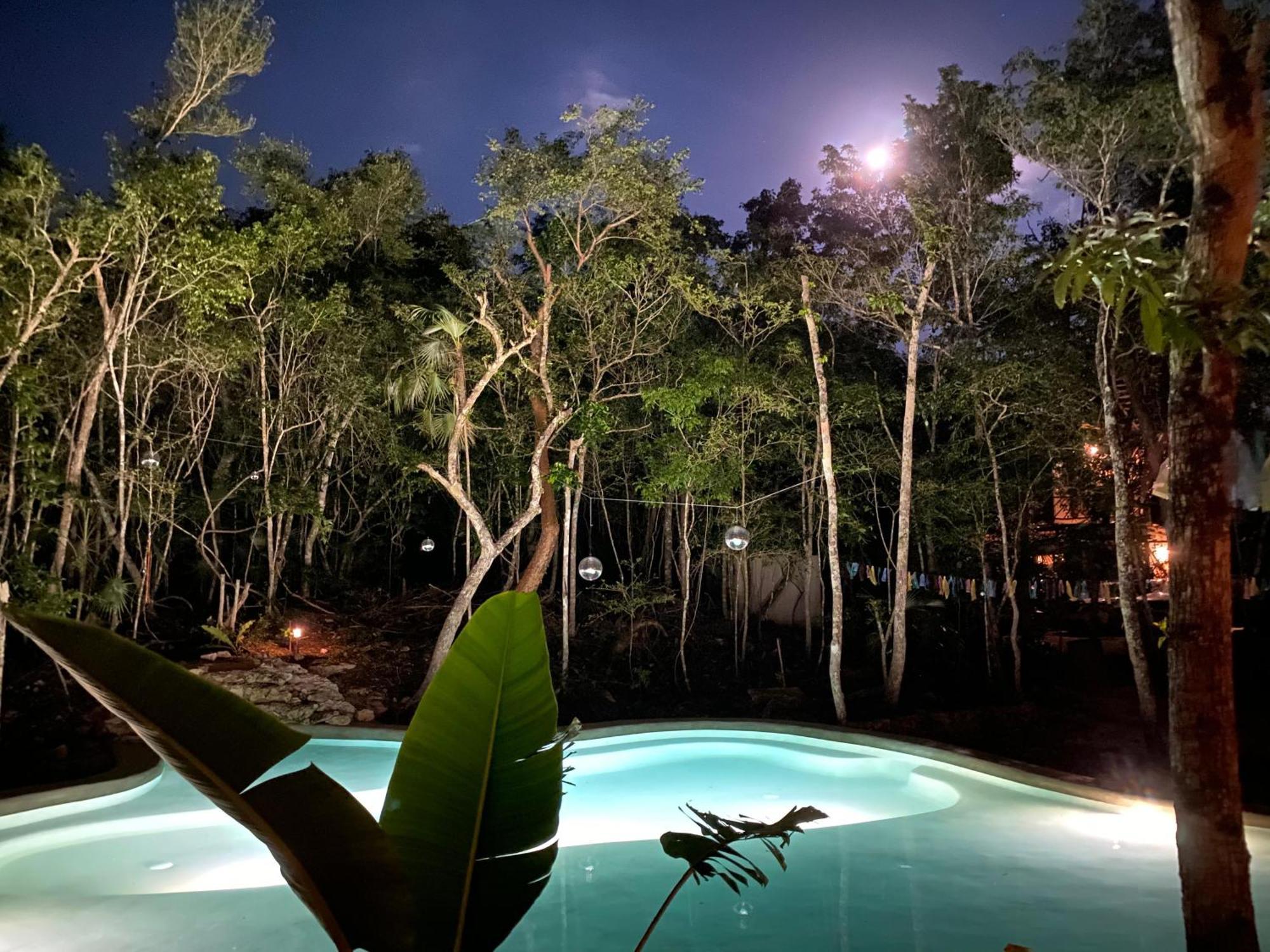 Casa Arkaana Eco Retreat Hotel ตูลุม ภายนอก รูปภาพ